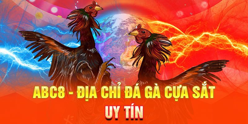 Bí quyết giúp sư kê chọn gà chiến cho mình